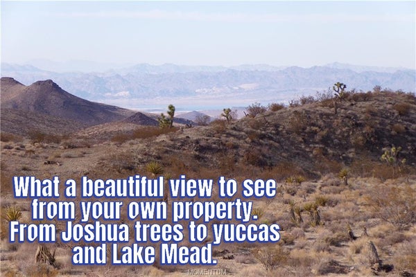 WHITE HILLS RD, WILLOW BEACH, AZ 86445 - Image ed35a5bf0bf98ed32e356fa498a49aac/333478844