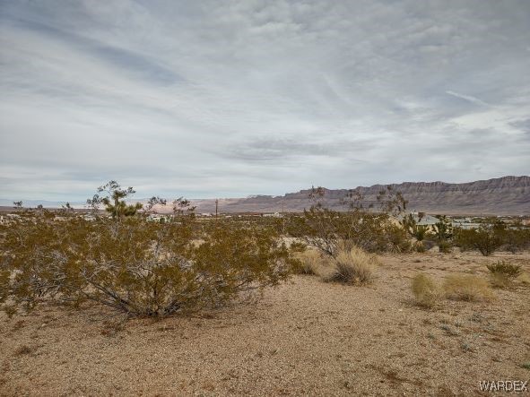 1398 W Overton Drive