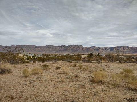 1398 W Overton Drive Meadview AZ 86444