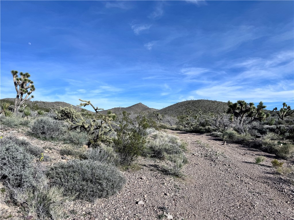 8161 W San Pablo Drive