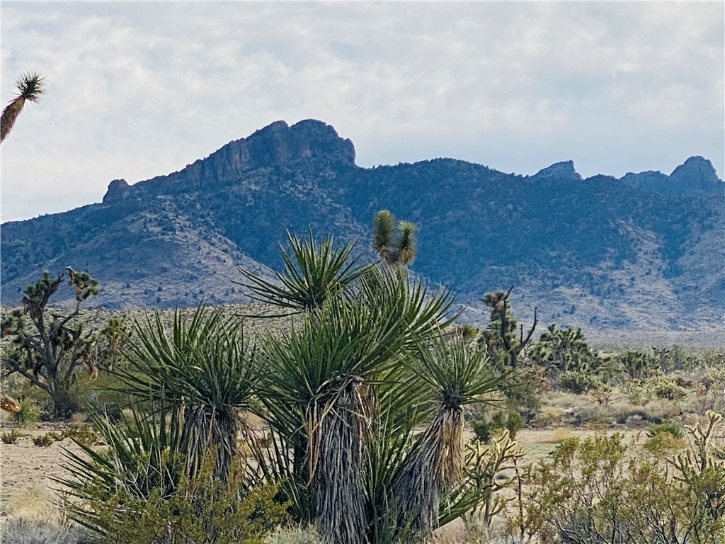 327-06-507 Pellet Drive