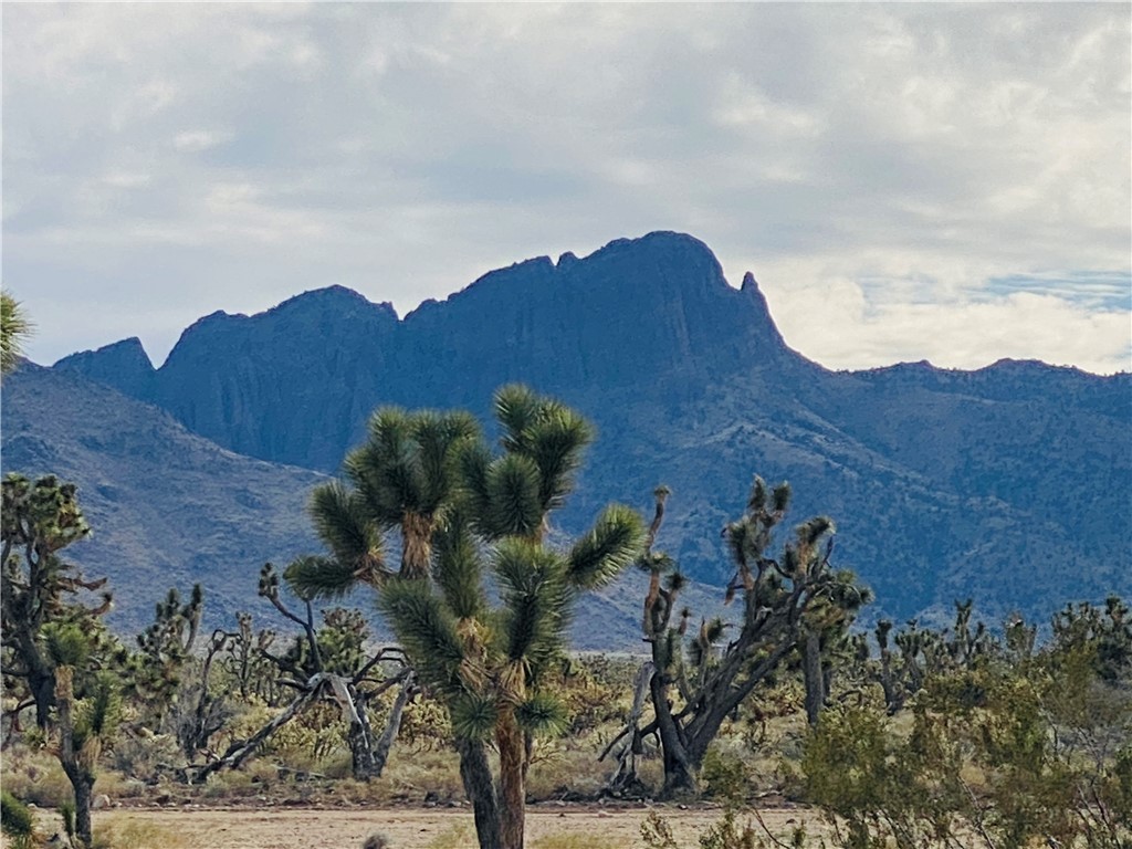 327-06-507 Pellet Drive