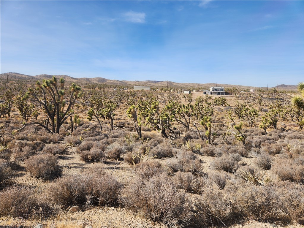 0000 N Tamarisk & Rainbow