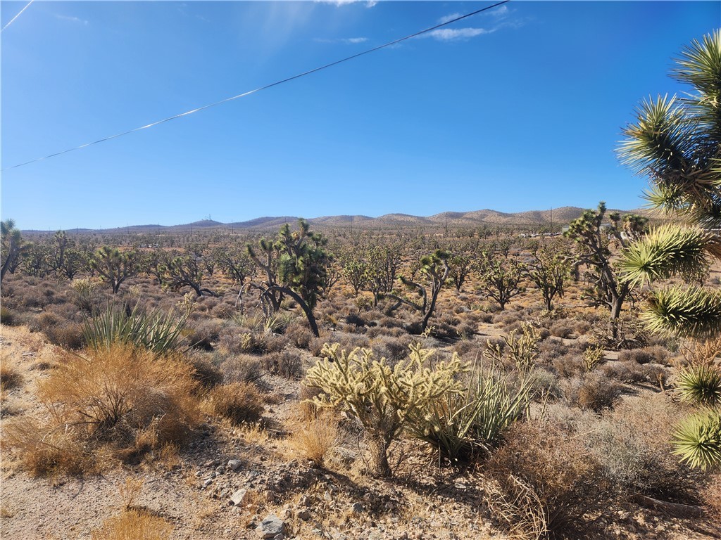 0000 N Tamarisk & Rainbow