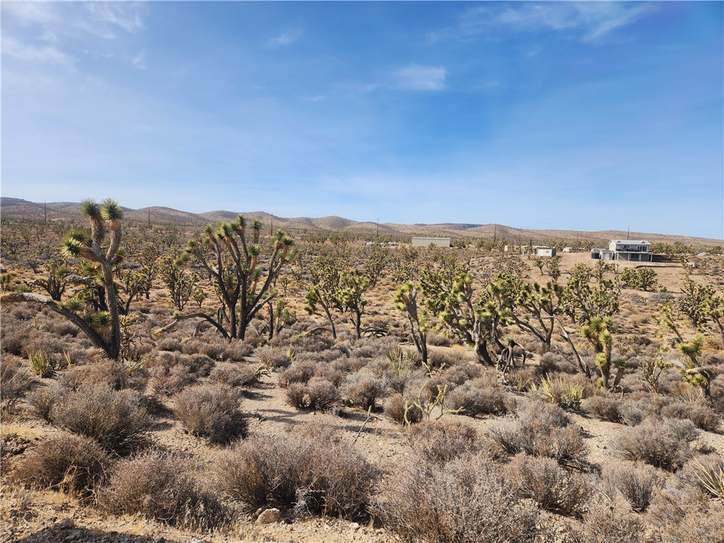 0000 N Tamarisk & Rainbow