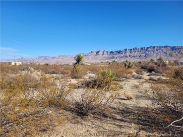 235 E Eddy Lane Meadview AZ 86444