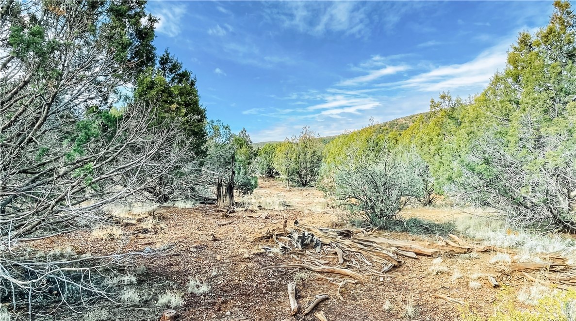 320 Acres Cross Mountain Trout Creek