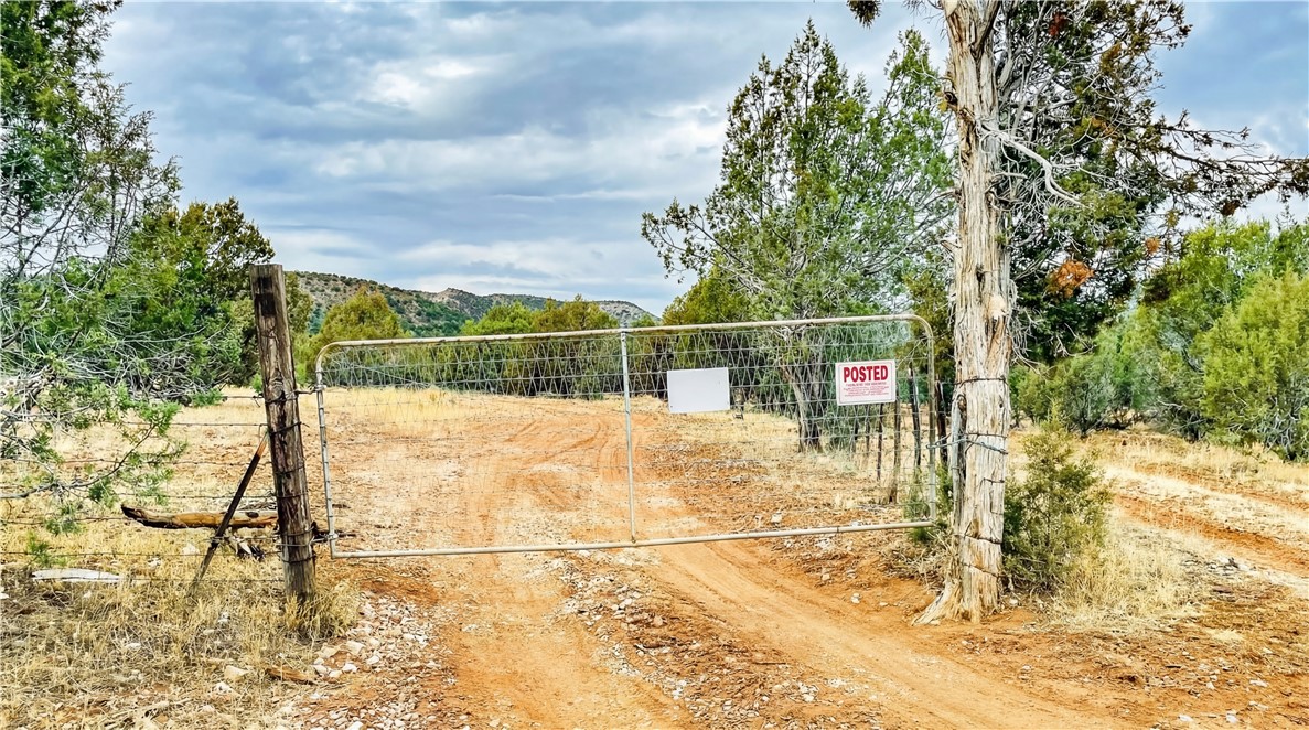 320 Acres Cross Mountain Trout Creek
