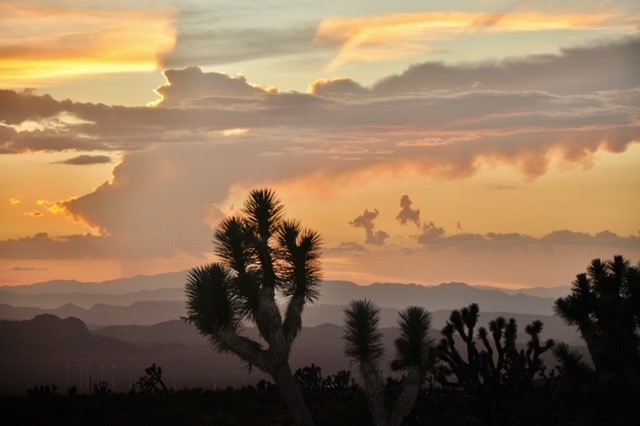 8651 W Kristin Drive