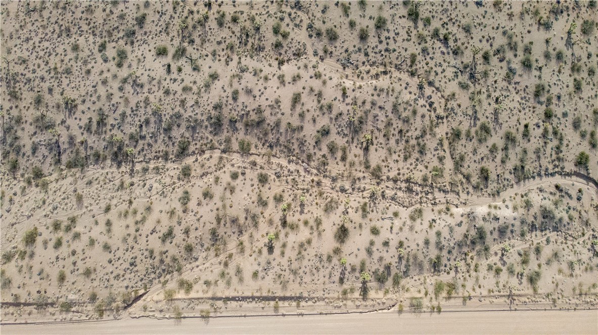 21358 N Spear Boulevard