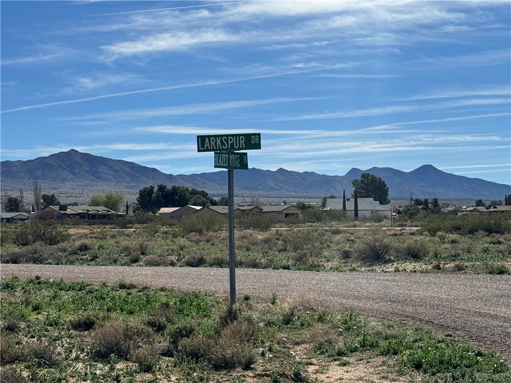 Lot 2814 Blazed Ridge 2814 AND 2815