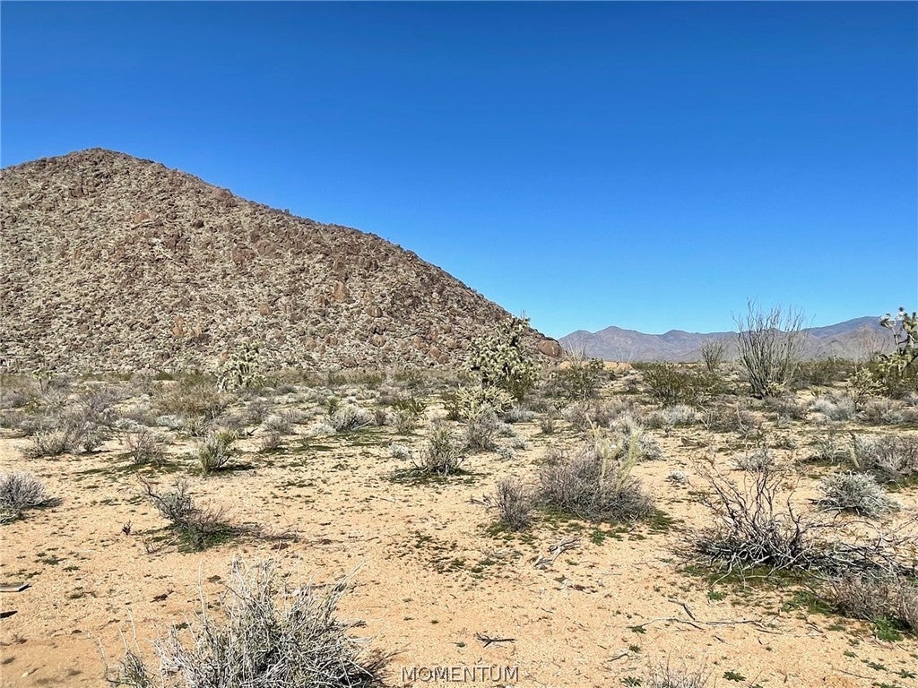 16297 S Wyatt Earp Road