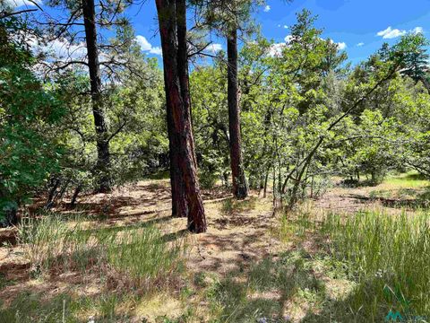 Vacant Land For Sale - Lot 14, Brazos Road<br/> Rio Arriba County, Chama, NM 87520