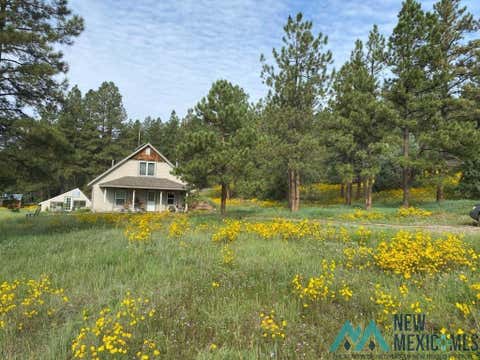 Homes For Sale - 150 Forrest Service Road 124 Road<br/> Cebolla, NM 87518