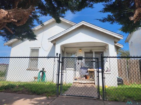 Vacant Land For Sale - 113 & 115.5 E 5th Street<br/> Portales, NM 88130