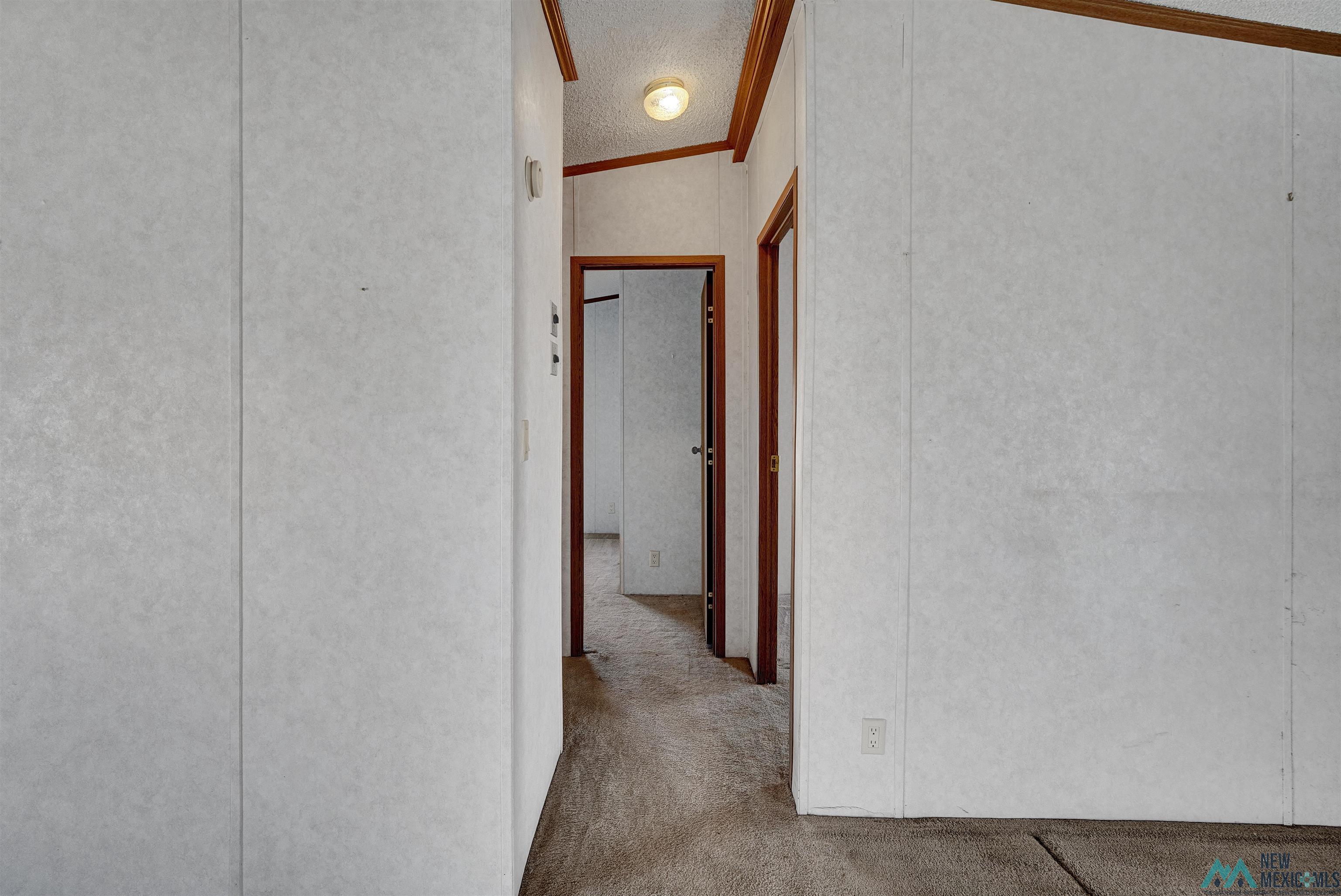 4476 SE Josefita Road, Deming, Texas image 19