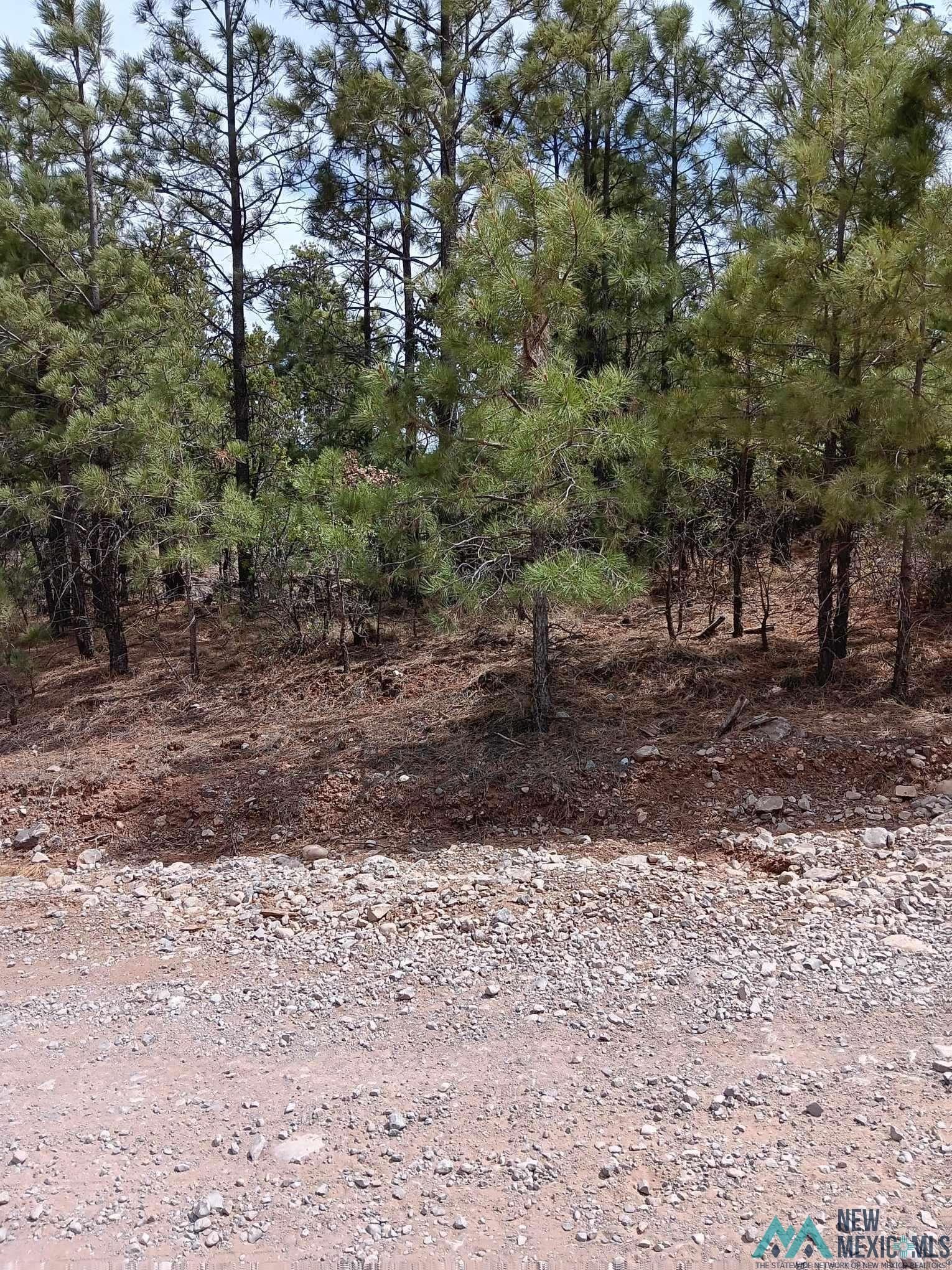 Lot 21 Wishita Drive, Timberon, New Mexico image 1