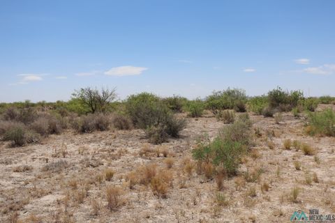 Vacant Land For Sale - Deming Ranchettes Various Units<br/> Luna County, Deming, NM 88030