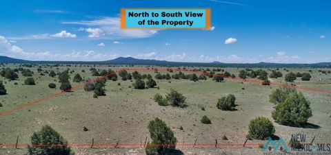 Vacant Land For Sale - 0071 W Lobo Solitario Road<br/> Grants, NM 87357