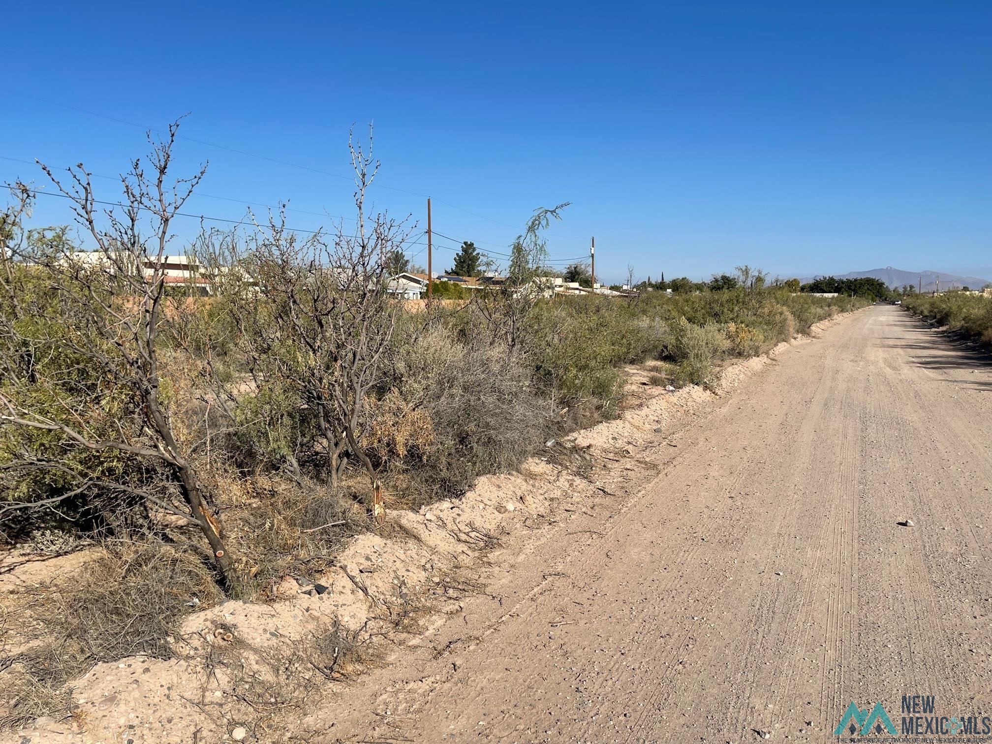 XXXX S Tennyson Dr, Deming, New Mexico image 3