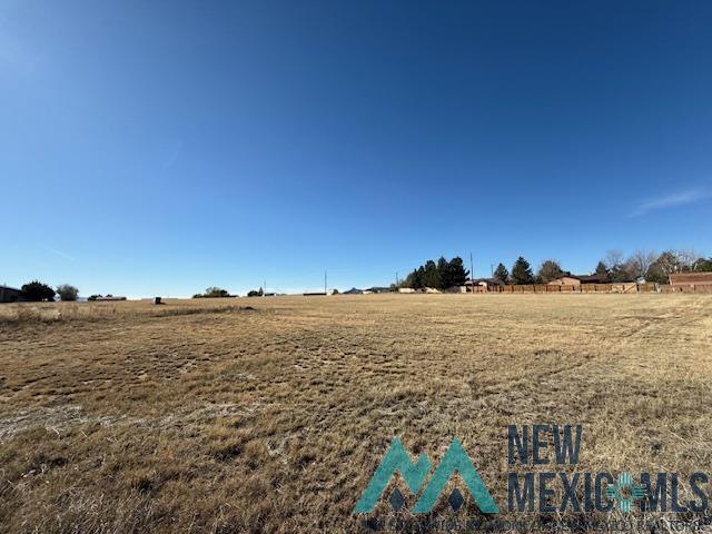 West Of Medical Street, Raton, Texas image 3