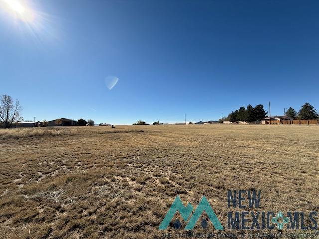 West Of Medical Street, Raton, Texas image 5