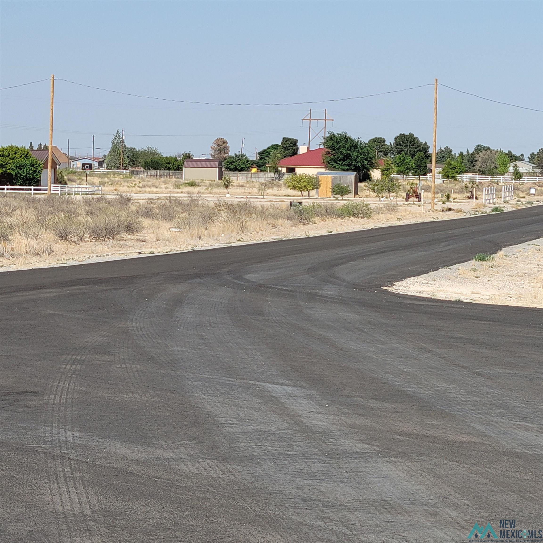 Lot 10A N Tagwood Lane, Carlsbad, New Mexico image 7