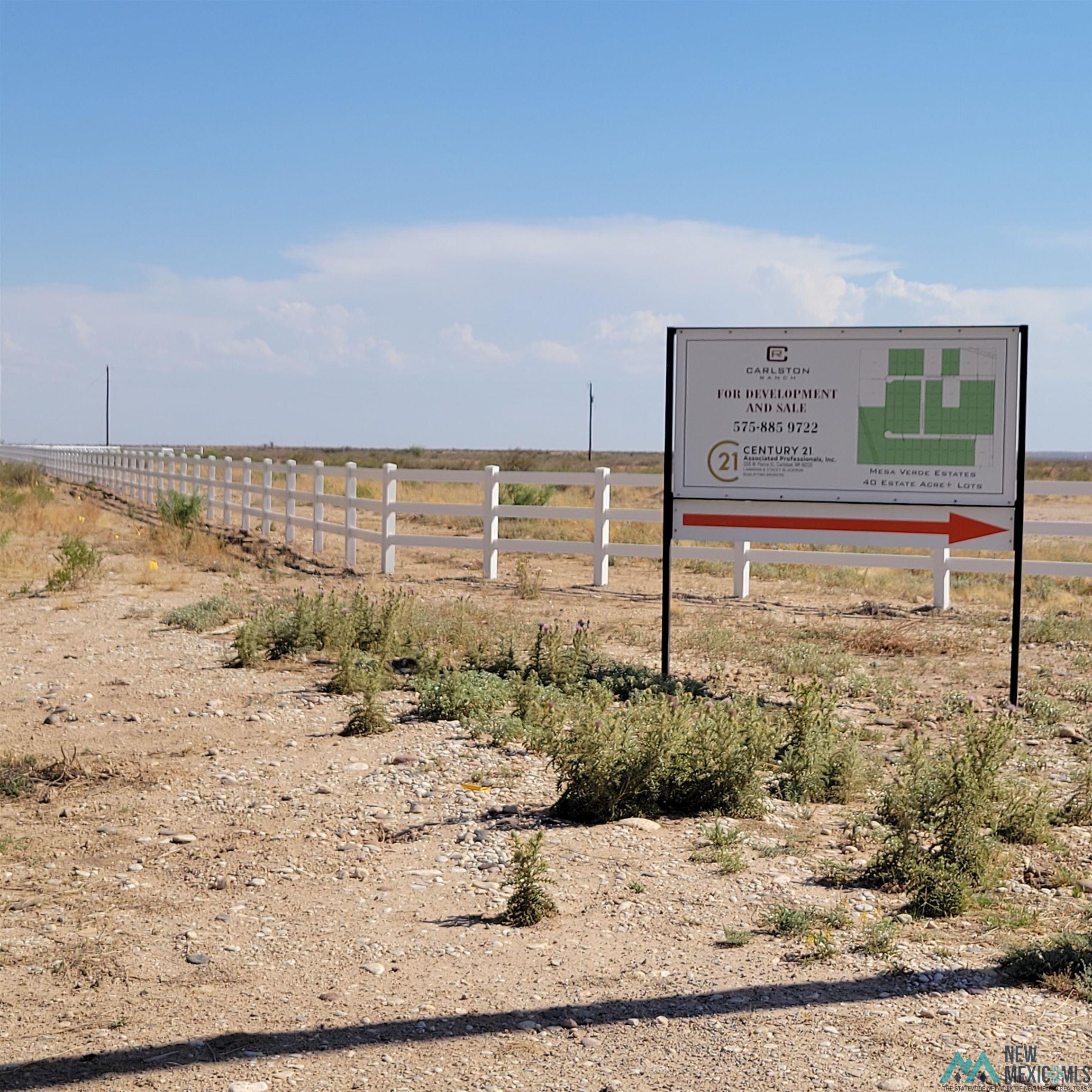 Lot 10A N Tagwood Lane, Carlsbad, New Mexico image 4