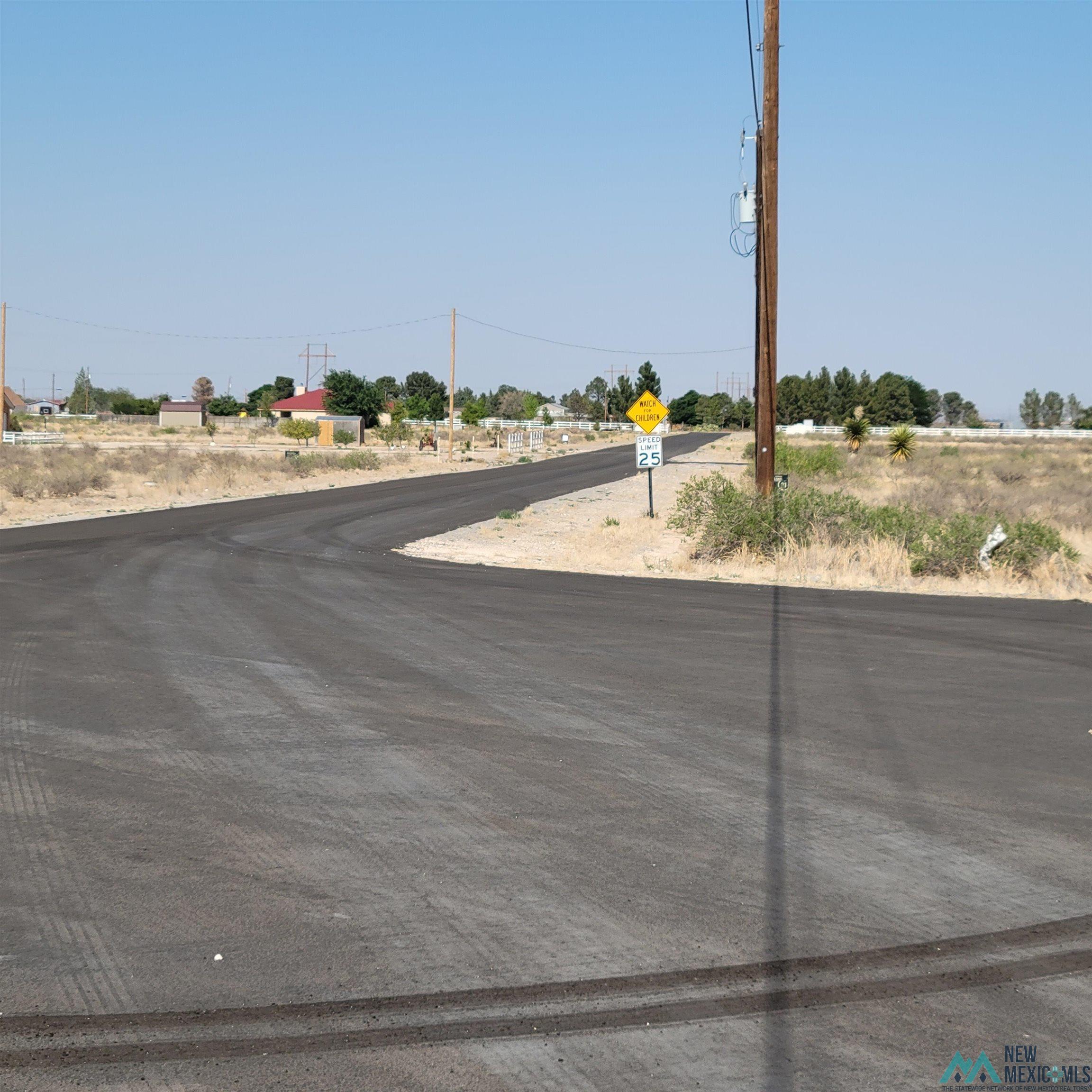 Lot 10A N Tagwood Lane, Carlsbad, New Mexico image 6