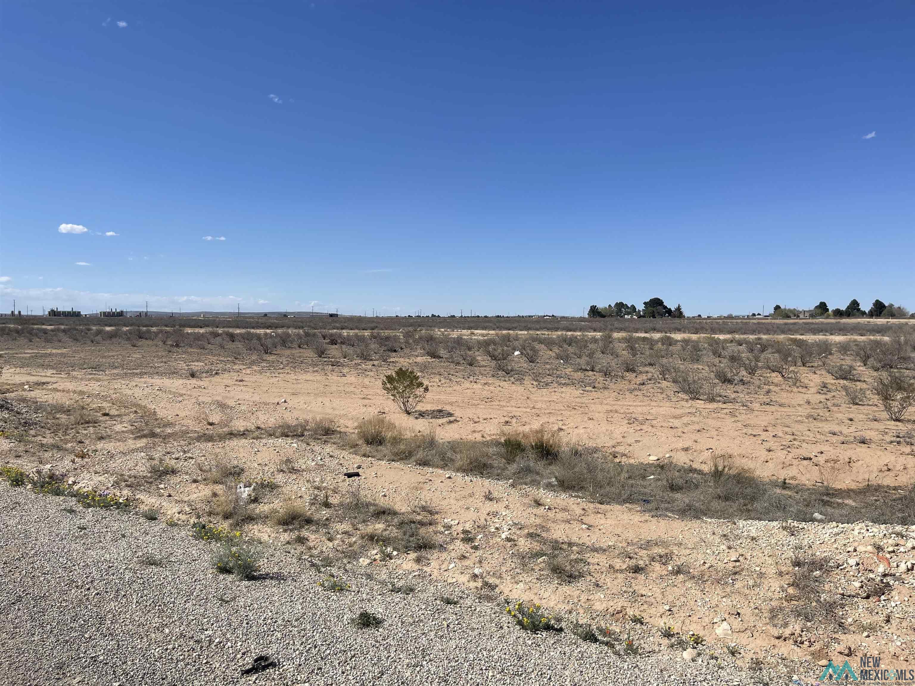 E Harkness Road, Carlsbad, New Mexico image 1