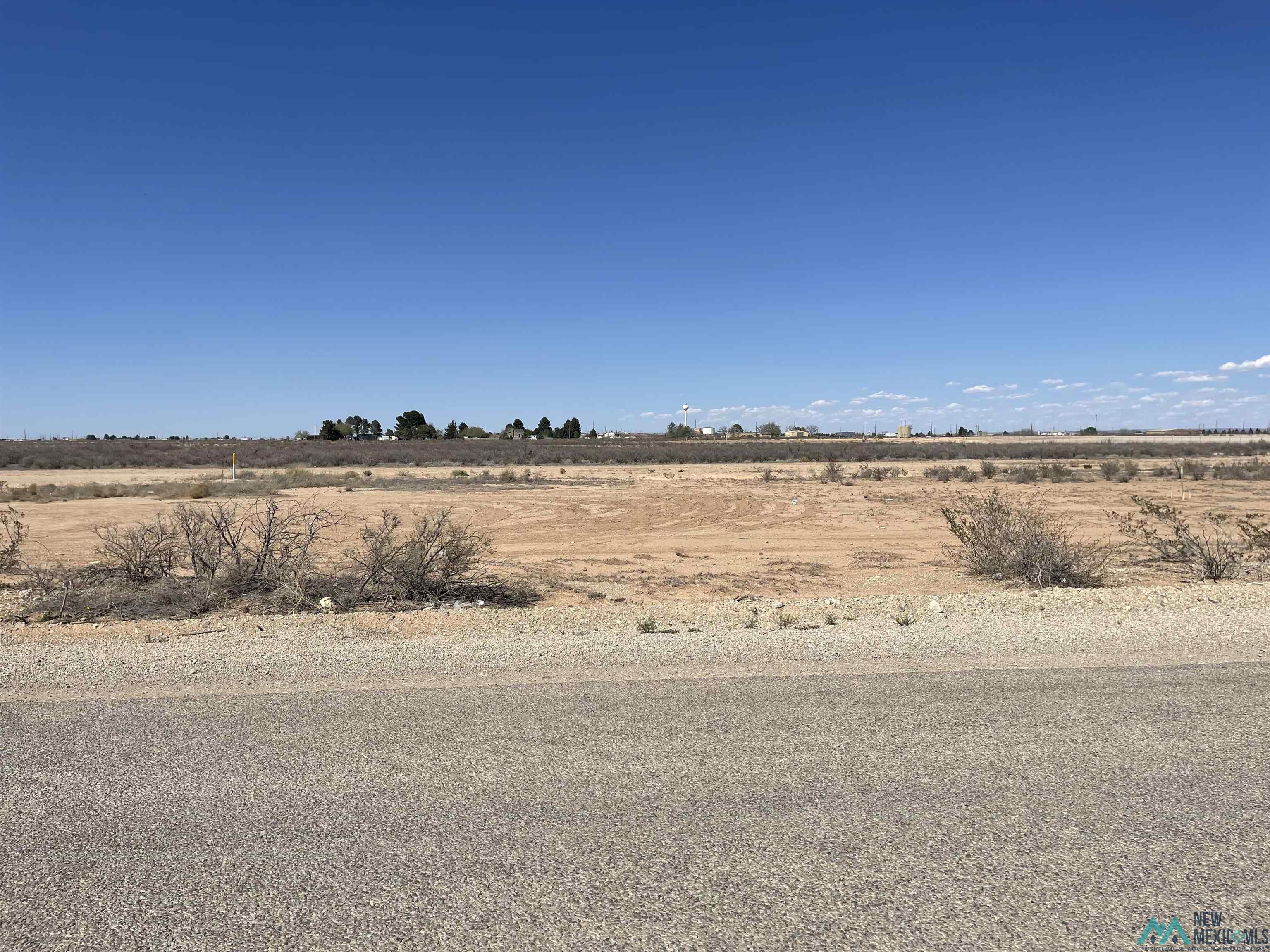 E Harkness Road, Carlsbad, New Mexico image 3