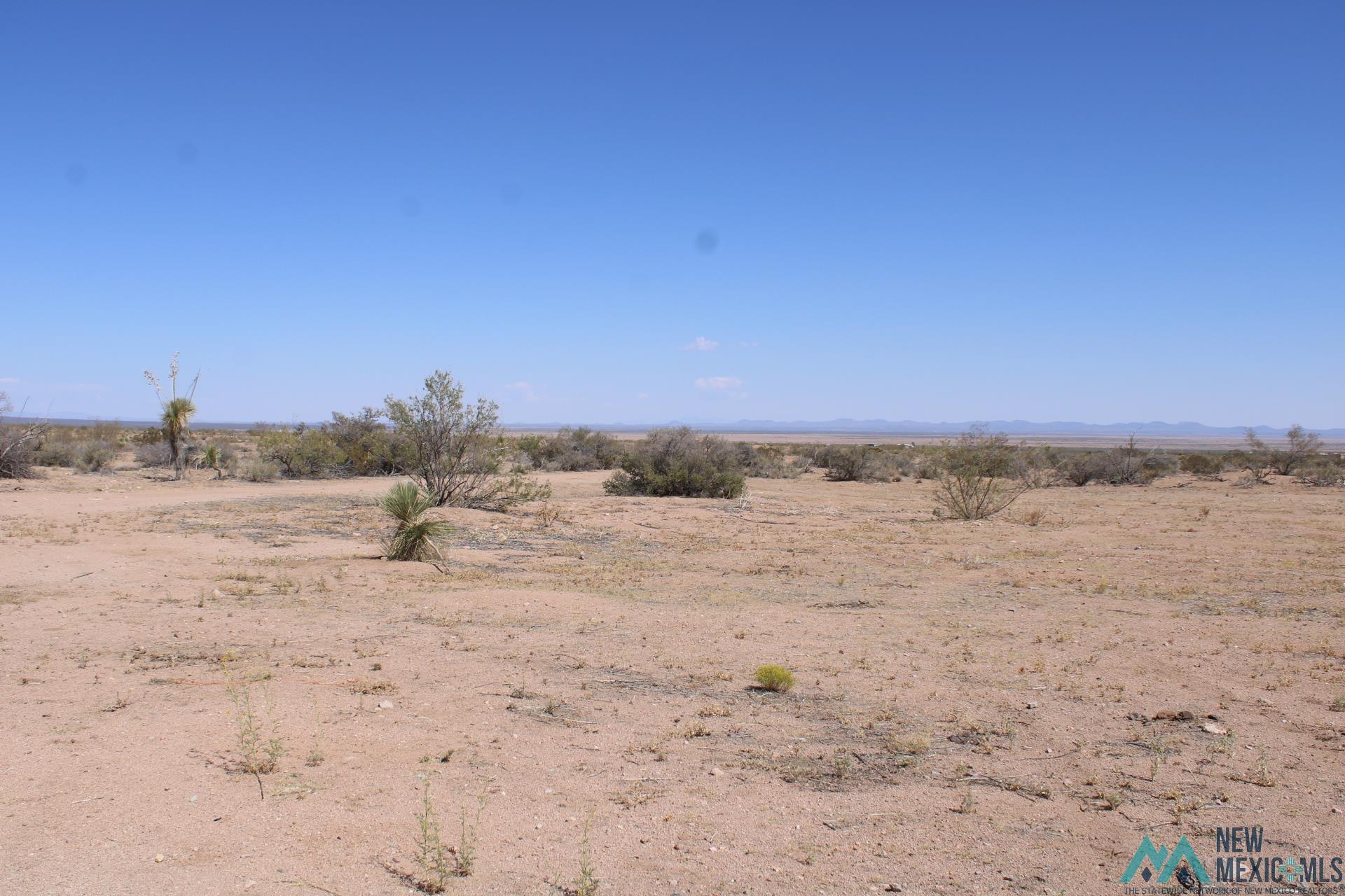 Laturner Rd Sw, Columbus, New Mexico image 4