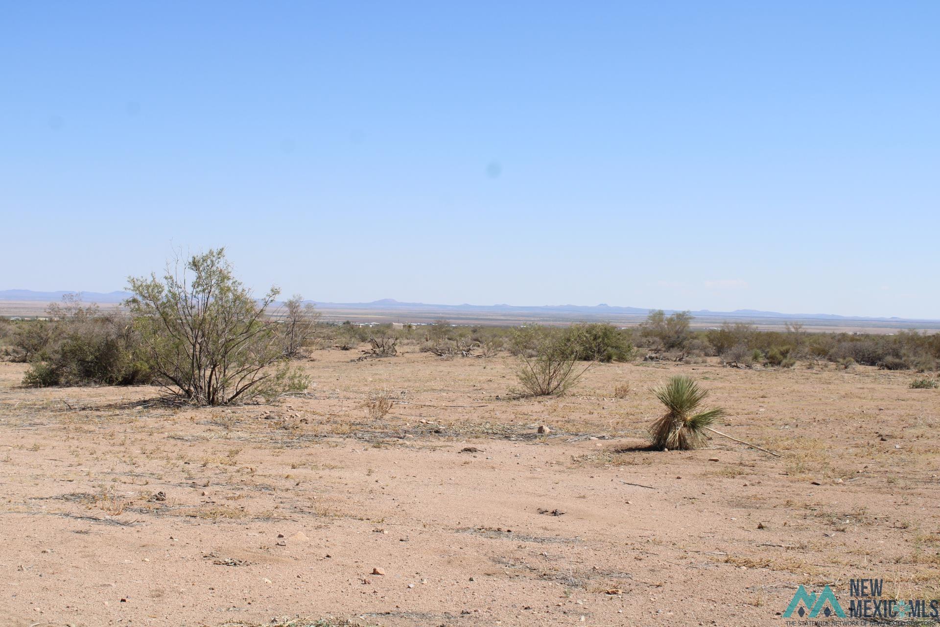 Laturner Rd Sw, Columbus, New Mexico image 10