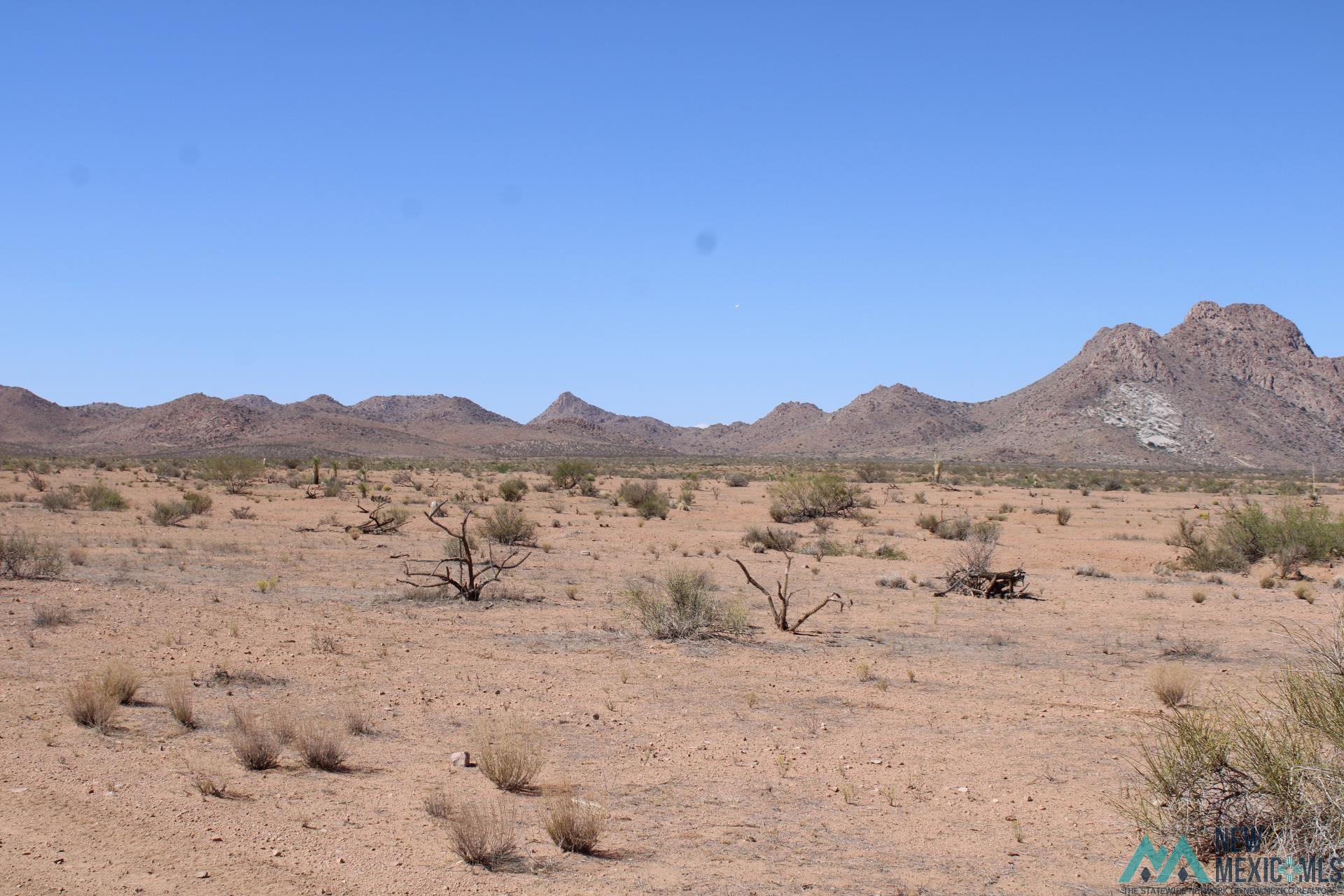 Laturner Rd Sw, Columbus, New Mexico image 17