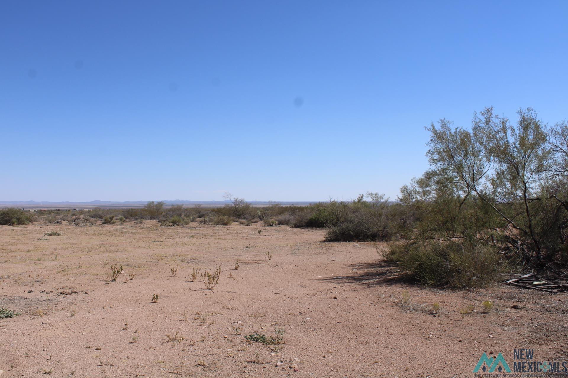 Laturner Rd Sw, Columbus, New Mexico image 2