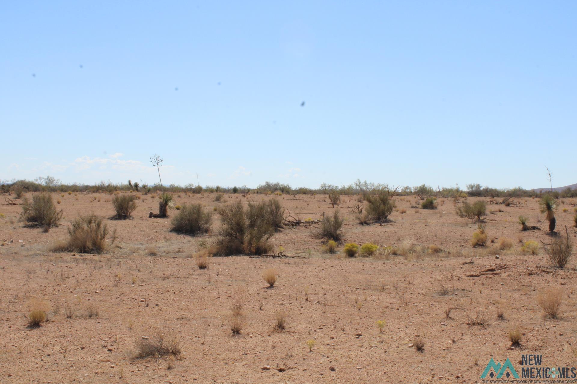 Laturner Rd Sw, Columbus, New Mexico image 14