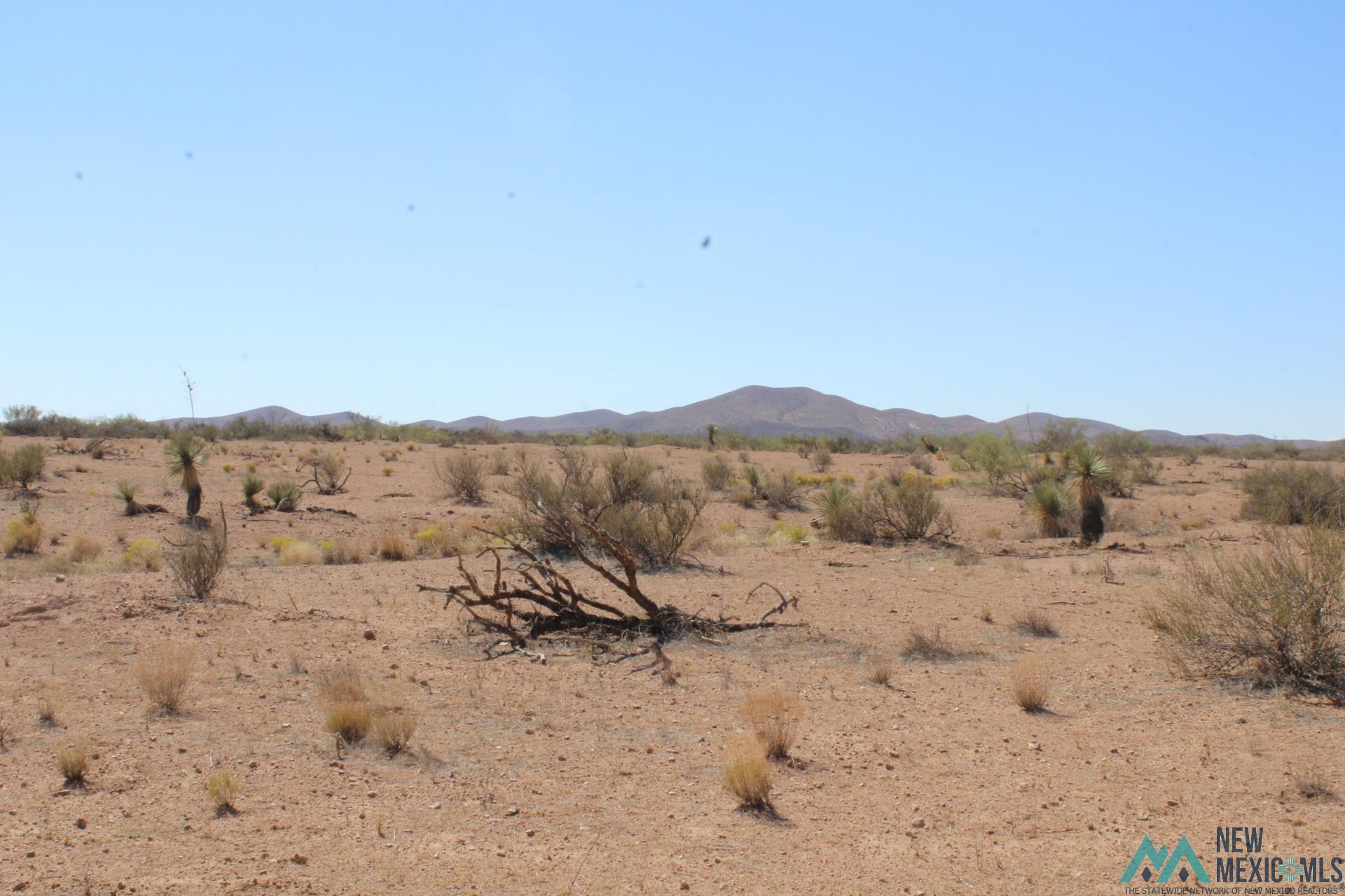 Laturner Rd Sw, Columbus, New Mexico image 15