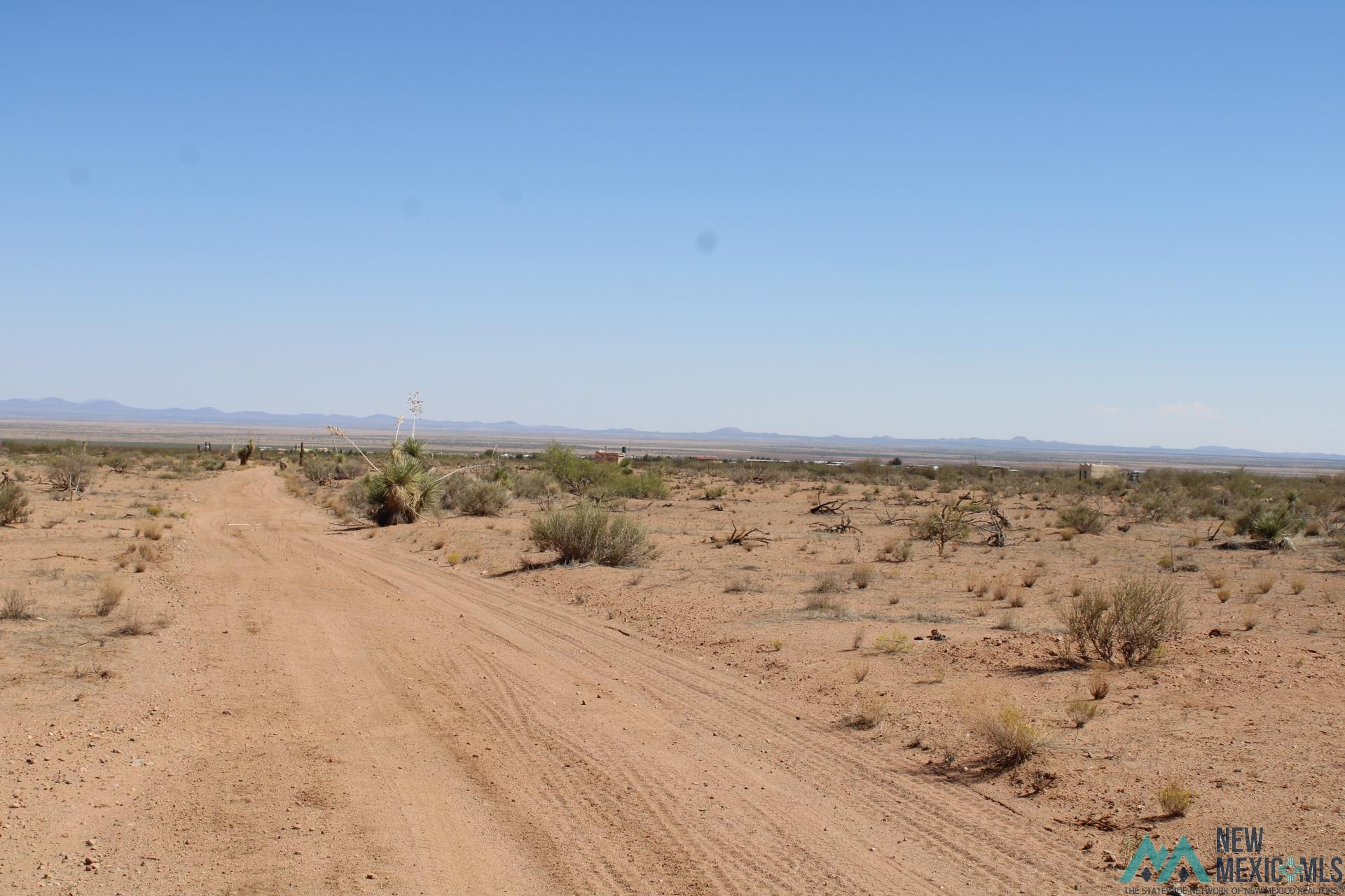 Laturner Rd Sw, Columbus, New Mexico image 22