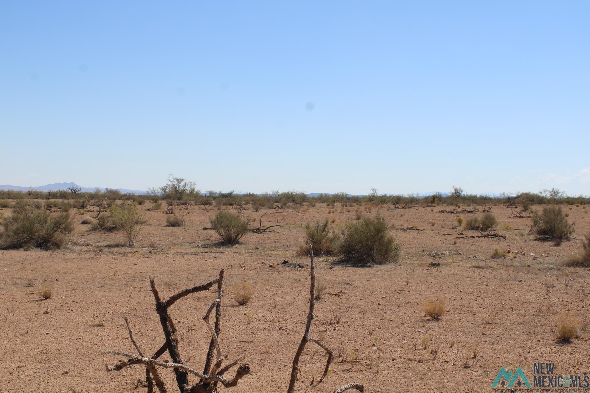 Laturner Rd Sw, Columbus, New Mexico image 13