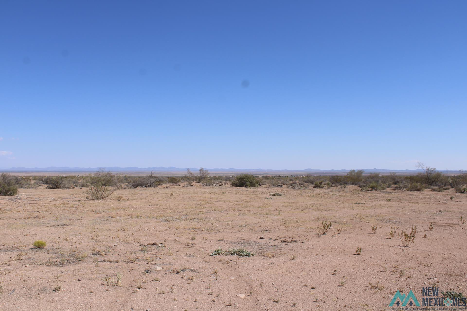 Laturner Rd Sw, Columbus, New Mexico image 3