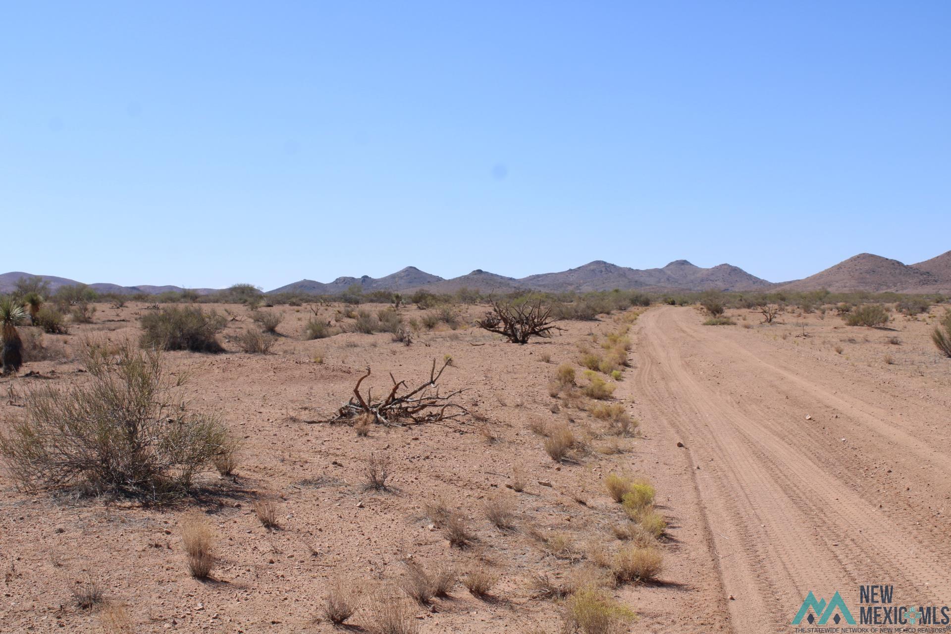 Laturner Rd Sw, Columbus, New Mexico image 16