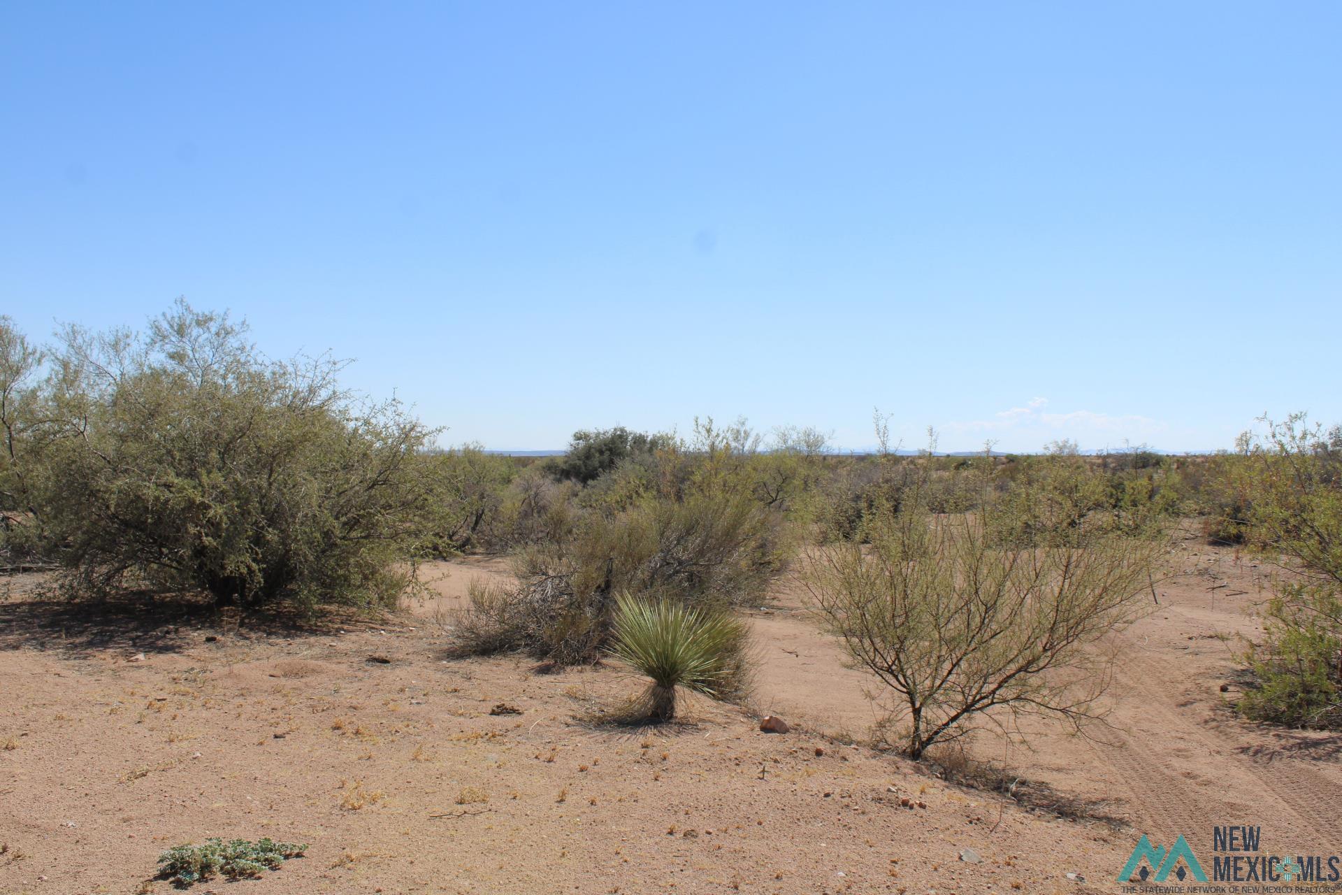 Laturner Rd Sw, Columbus, New Mexico image 1