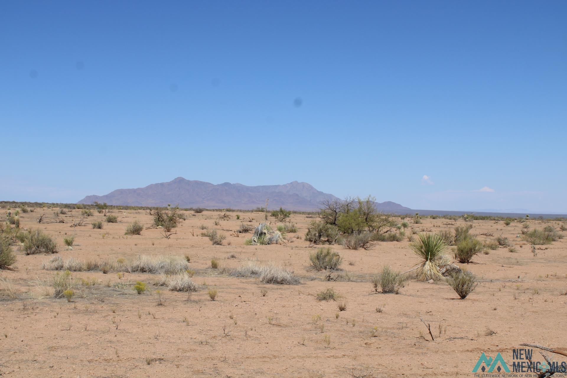 Laturner Rd Sw, Columbus, New Mexico image 19