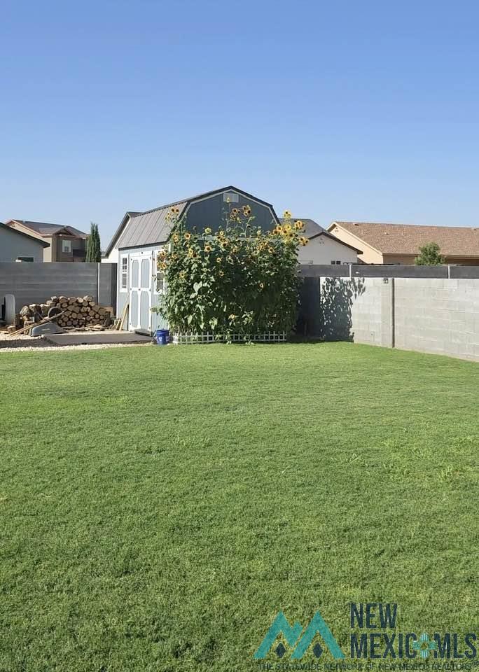 1041 Malibu Way, Carlsbad, New Mexico image 48