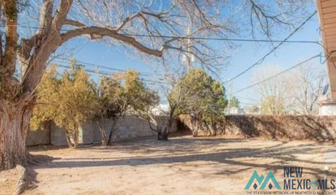 1203 W Ural Drive, Carlsbad, New Mexico image 17