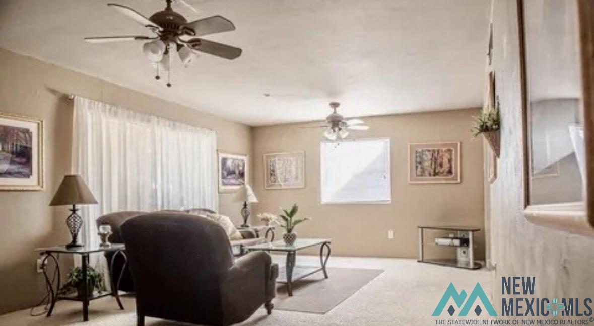 1203 W Ural Drive, Carlsbad, New Mexico image 2