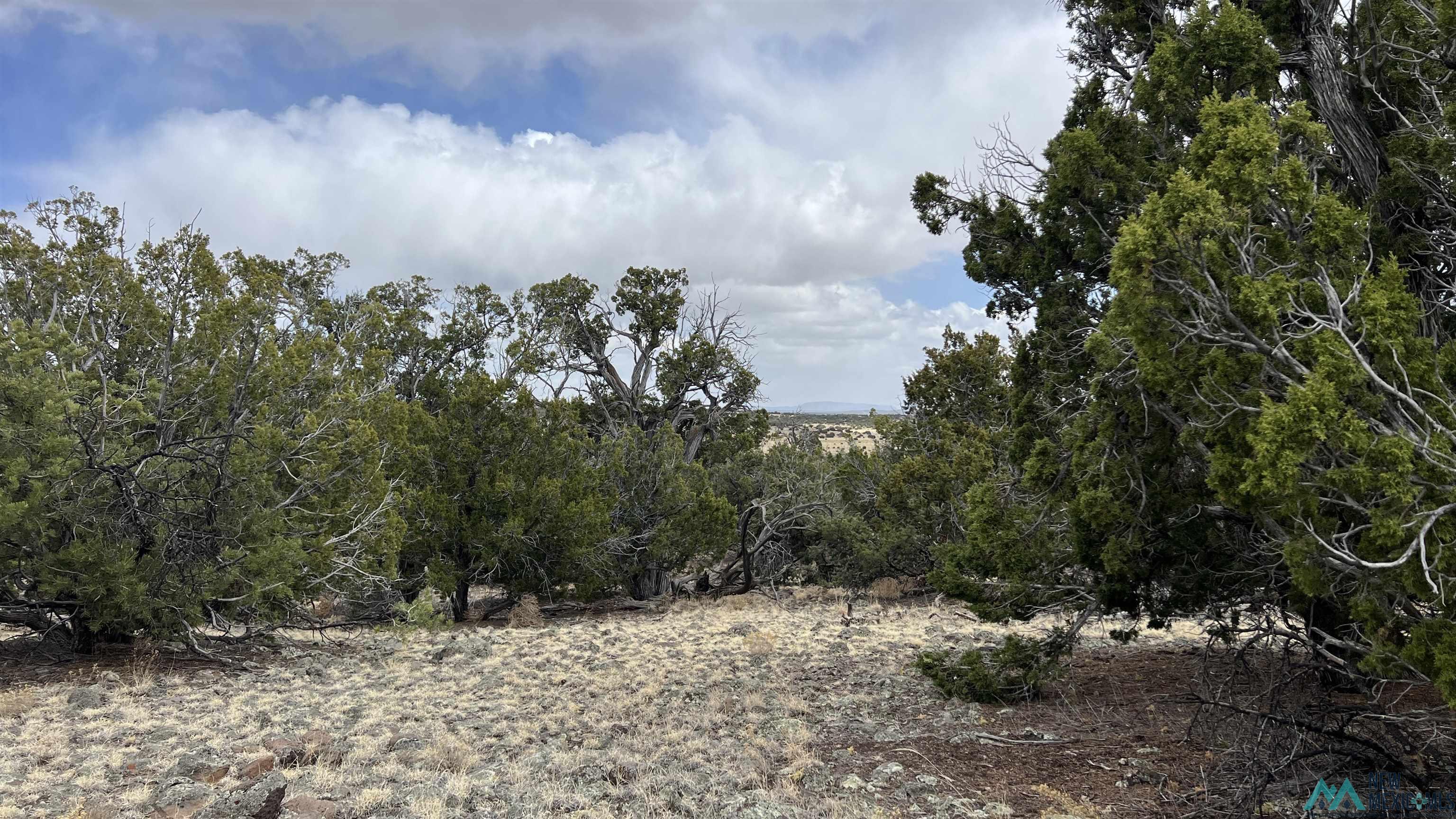 22 Escondido Drive, Quemado, New Mexico image 38