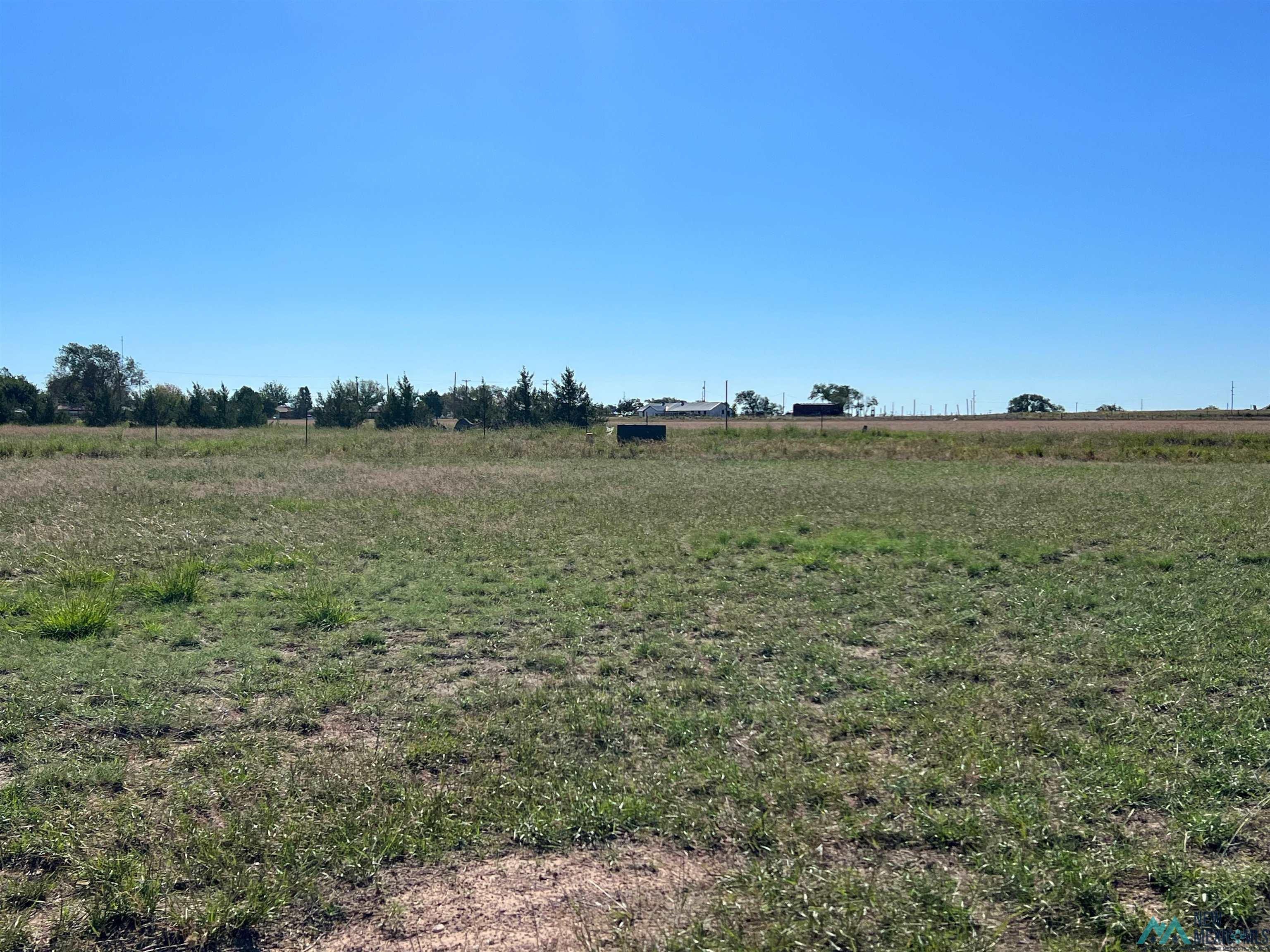 1819 Quail-wood Drive, Portales, New Mexico image 1