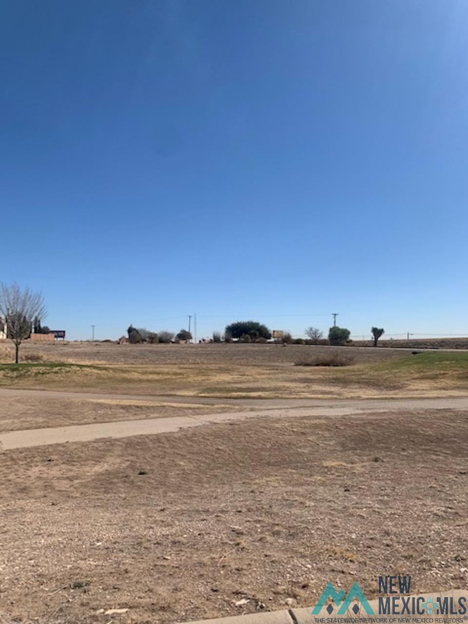 1202 Ridgecrest Drive, Carlsbad, New Mexico image 6