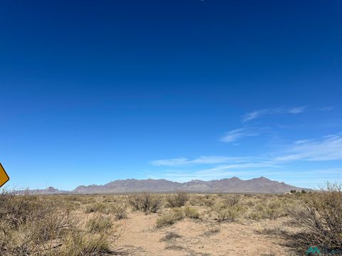 Vacant Land For Sale - 0000 SW Lucca Road<br/> Luna County, Deming, NM 88030